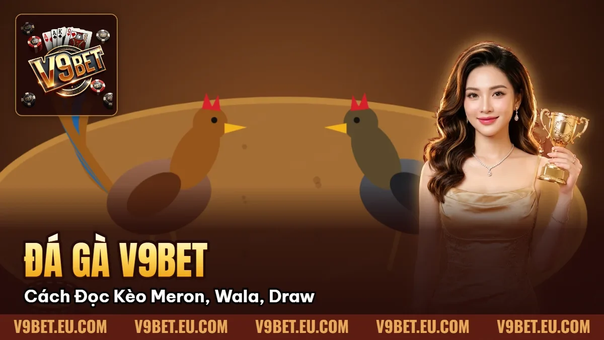 Đá Gà V9BET | Cách Đọc Kèo Meron, Wala, Draw